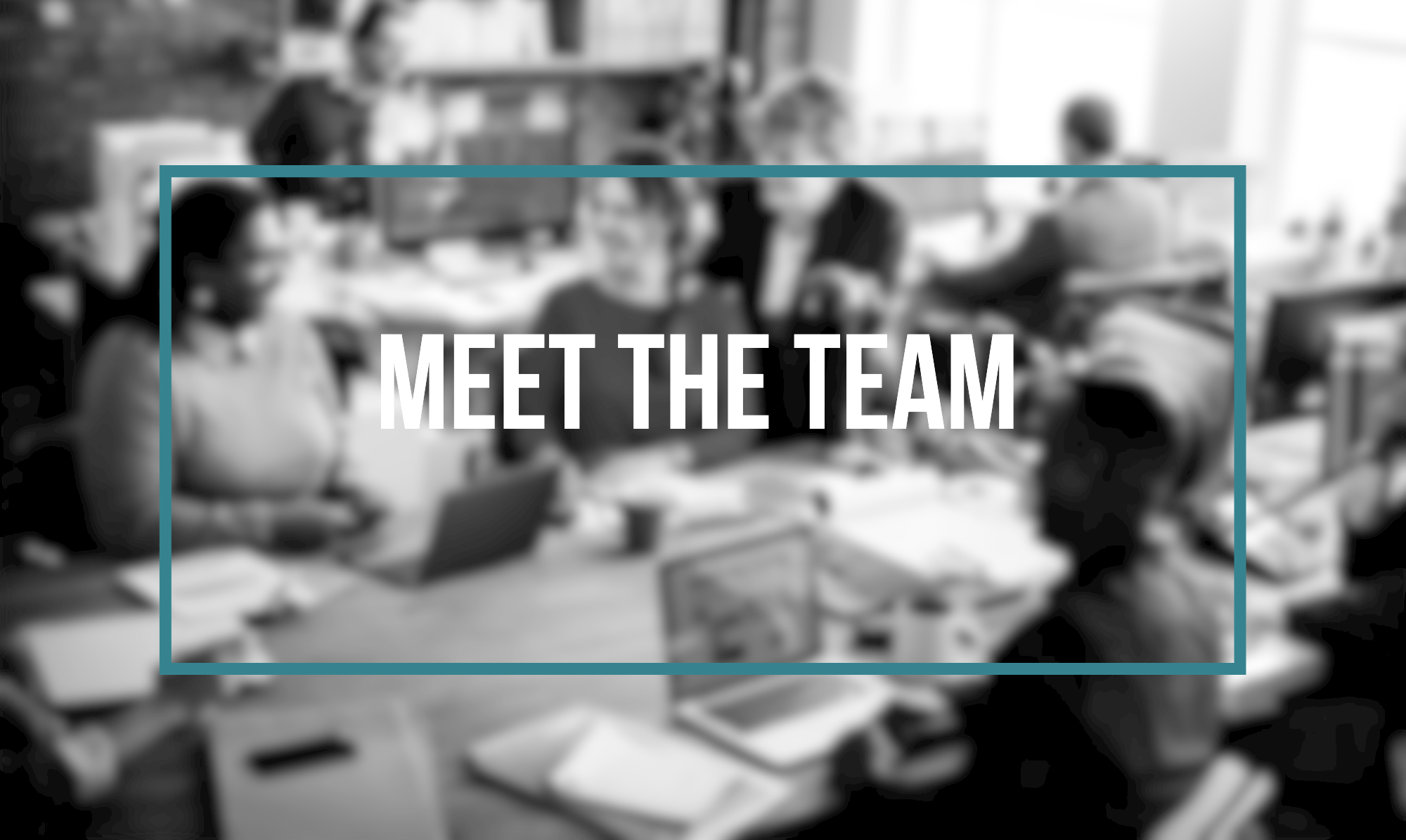 Meet the team